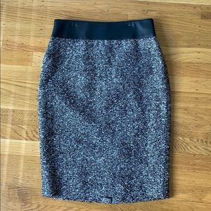 Ann Taylor skirt